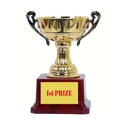 Juz4U Fiberglass Open Cup First Prize | First Position Trophy (Brown ...