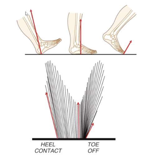 Image result for Walking Animation Keyframes