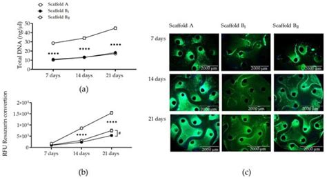 Impact of Particle Size and Sintering Temperature on Calcium Phosphate ...