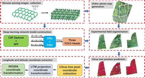 Extraction of Citrus Trees from UAV Remote Sensing Imagery Using ...