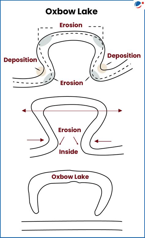Two Wetlands in Bihar Recognised as New Ramsar Sites | Current Affairs ...