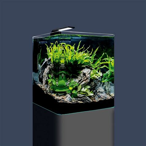 Dennerle Mini-Aquarium Set Nano Cube Basic 30 l mit C251 LED ...