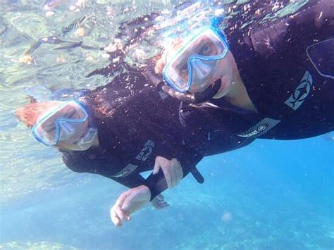 Nostra Mar (Argeles-sur-Mer) - All You Need to Know BEFORE You Go