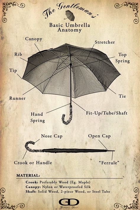 The Gentleman's Digest | Umbrella, Ancient umbrella, Vintage umbrella