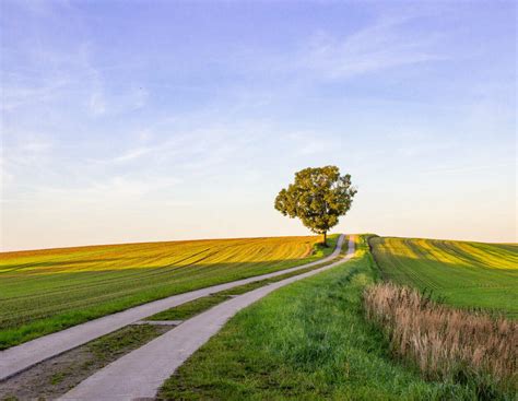 Trotz ungelösten Streits: BVVG verpachtet Flächen für sechs Jahre ...