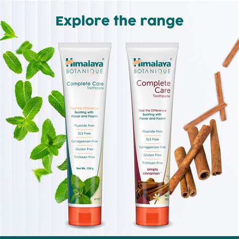 Buy Himalaya BOTANIQUE Complete Care Toothpaste (Simply Mint) 150g ...