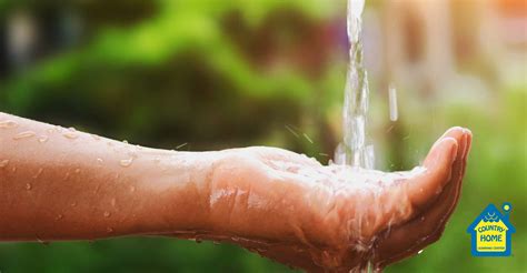 Interesting Water Facts - CHLC Blog - Daycare in San Antonio