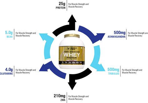 Fibre Standard Whey Protein 1KG – Muscle Fibre