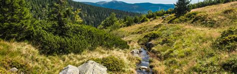 Download wallpaper landscape, mountains, nature, stream, stones, forest ...