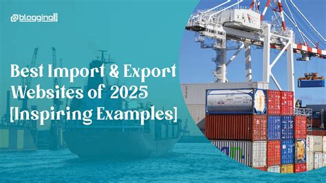 Export Examples 的图像结果