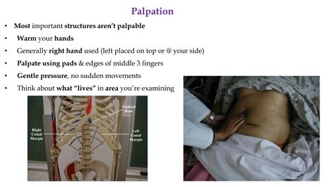 Clinical Examinations of the Abdomen with Images | PPTX