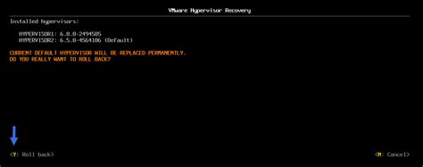 Image result for VMware Hypervisor Recovery