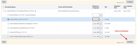 Oracle Client 19C 的图像结果