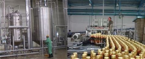 Business and Economy of Daman, Industrial Development in Daman