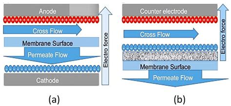 Electro-Conductive Membranes for Permeation Enhancement and Fouling ...