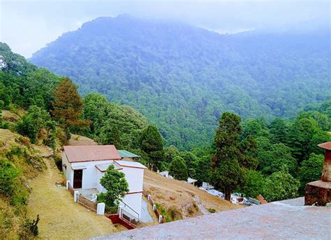 CUCKOOO COTTAGES (Pangot, Uttarakhand) - Lodging Reviews, Photos, Rate ...