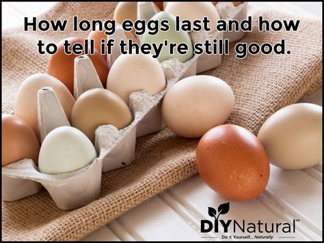 How Long do Eggs Last and How to Tell If Eggs Are Good and Fresh
