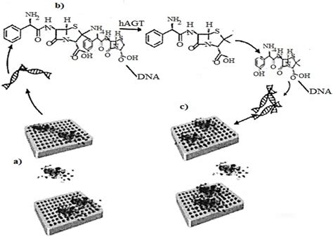 Nucleic Acid Aptamers in Nanotechnology