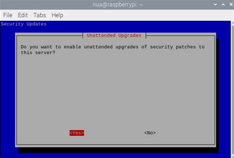 Image result for Raspberry Pi OpenVPN Client