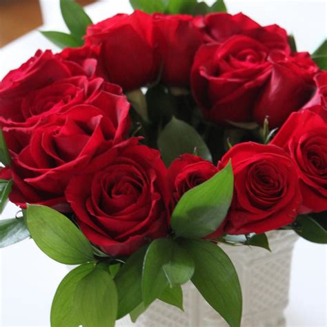 National Flower Of Usa Images | Best Flower Site