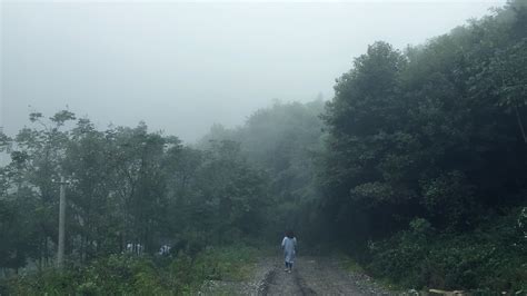大雾中的山间树林风光摄影高清图片_大图网图片素材