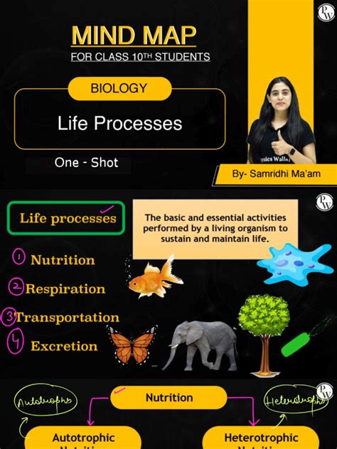Image result for Class 10 Science Life Processes Mind Map