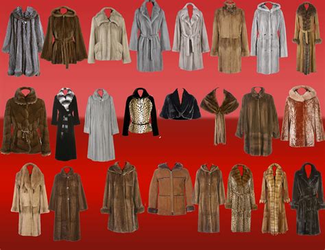 Coats JavaScript 的图像结果