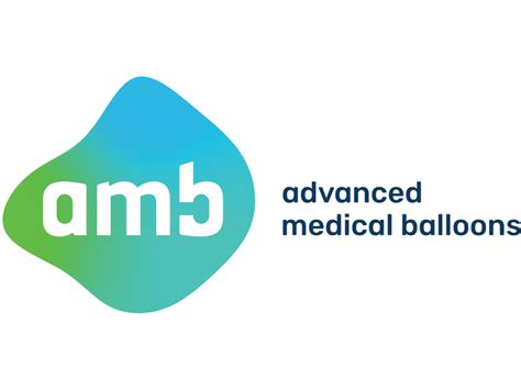 Managing Sustainable Innovations | Complexity Management Academy