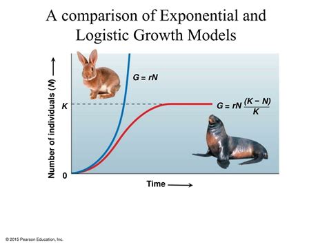 PPT - Ch. 19 Population Ecology PowerPoint Presentation, free download ...