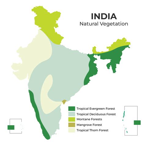 Tropical Deciduous Forests in India - UPSC Notes » LotusArise