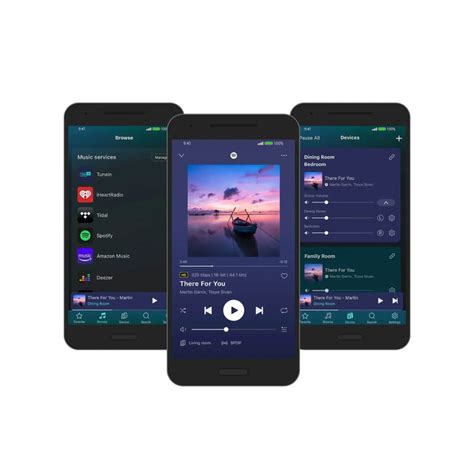 WiiM Mini Music Streamer The Audio Co.