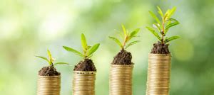 PUBLIC PROVIDENT FUND SCHEME | Central Bank of India