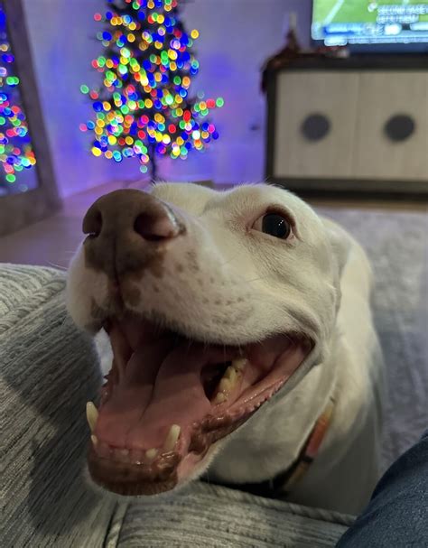 Last year one of my goals was to read 25 books. I hit 18 out of 25, but ...