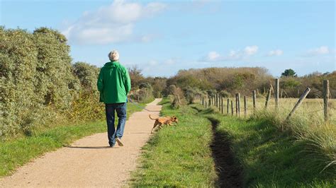 The Effects of Alcohol on Prostate Cancer Risk and Treatment