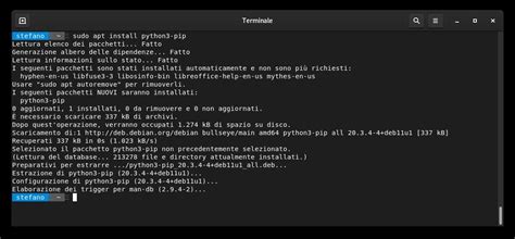 Image result for PIP Pythpm