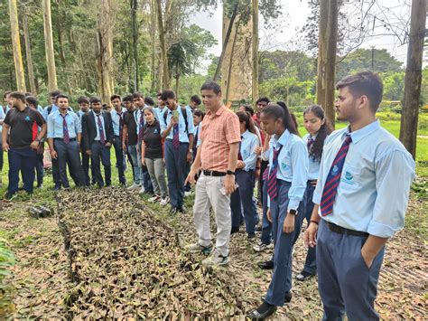 Skill Development Program on “Identification of Valuable Timber/Non ...