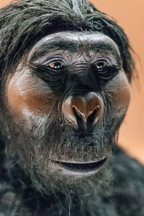 How Humans Reproduce Real 的图像结果