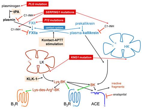 Pharmaceuticals | Special Issue : Kinins and Their Receptors as ...