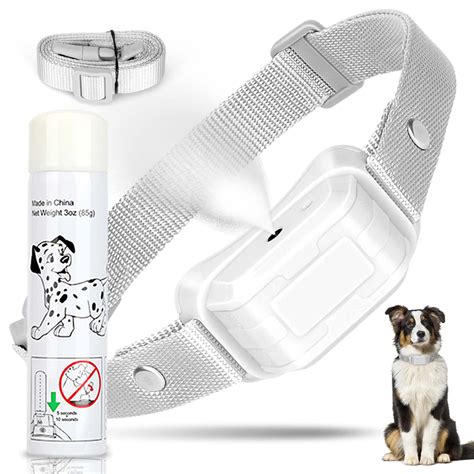 Are Citronella Spray Collars Safe For Dogs