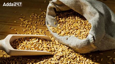 Largest Oats Producer in the World 2024, Check the list of Top-10