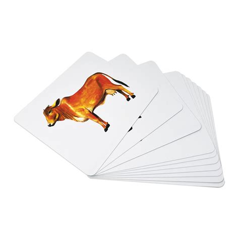 Farm Animals Flashcards for Baby and Toddler |Brainsmith Quantum Cards