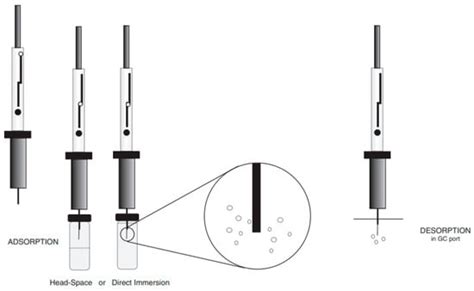 Analysis of Volatiles in Food Products