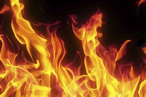 Four of family found charred in haystack in TN village