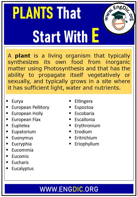 500+ Plants That Start With E (Complete List) - EngDic
