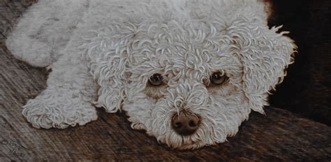 Image result for Pyrography Animals