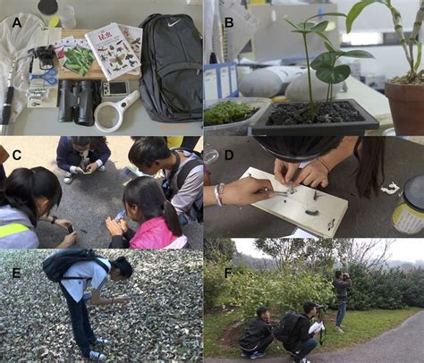 Observation 的图像结果