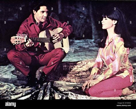 Shelley Fabares Clambake