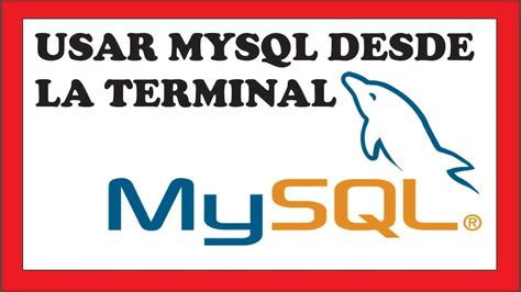 Image result for MySQL Terminal