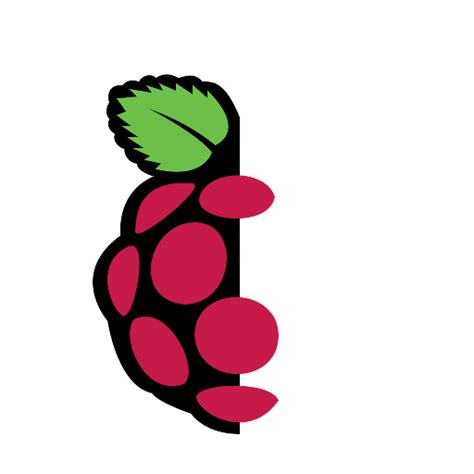 Image result for Raspberry Pi PNG