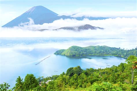 Sumatra Coffee Beans | Best Coffee Online